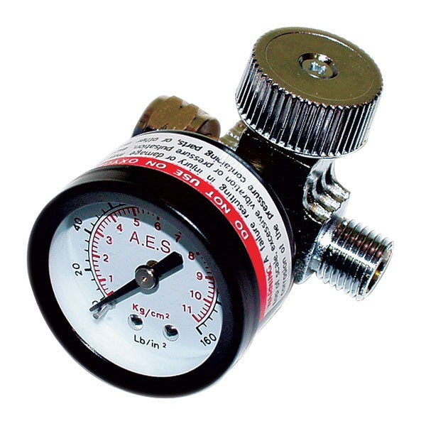 Quick Adjust Air Regulator, 160psi Gauge 882