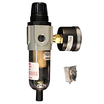 Milton® 1/4" NPT Polycarbonate Mini Piggyback FR Duo S1142